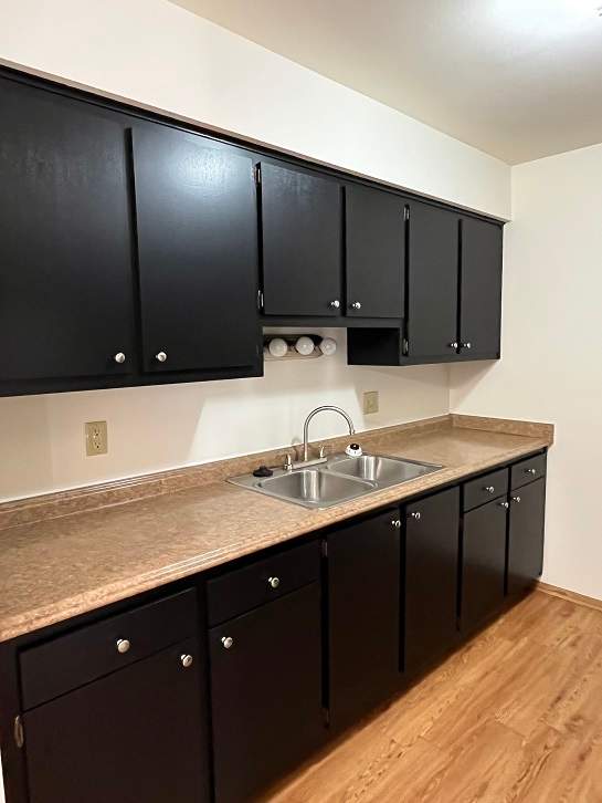 A kitchen with black cabinets and a sink.